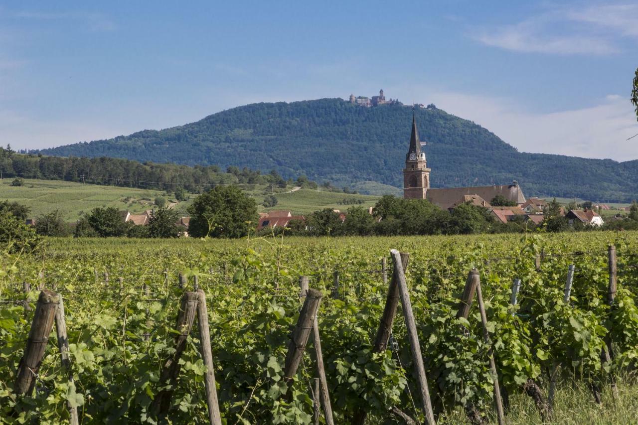 Residence Odalys Le Domaine Des Rois Bergheim Kültér fotó